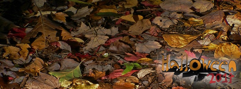 Halloween 2014 Promotional Banner